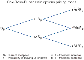 Cox-Ross-Rubenstein Options Pricing Model