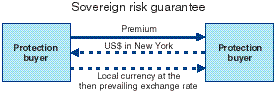Sovereign Risk Guarantee