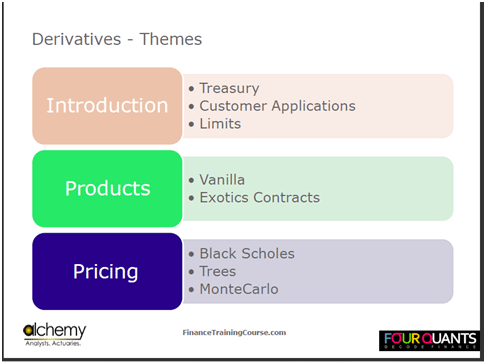 Understanding derivatives and options pricing - Primary themes in the training workshop