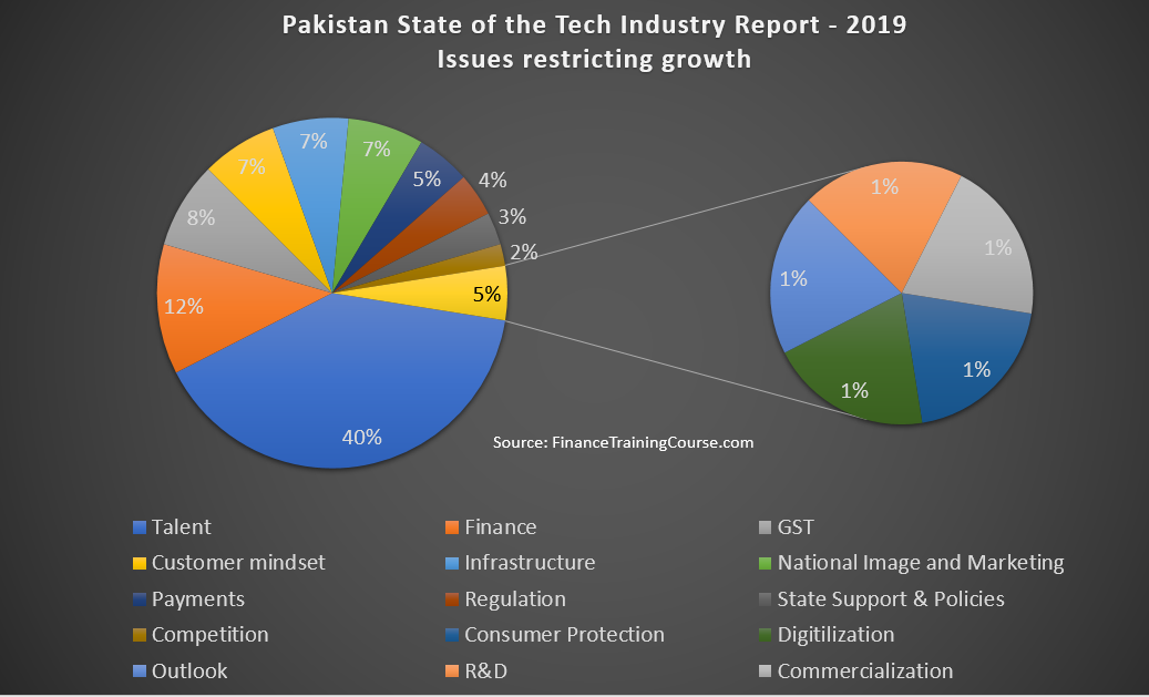 Pakistan Technology Industry Survey 2019 - Growing Pains